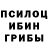 Псилоцибиновые грибы Psilocybine cubensis Anton XameleON