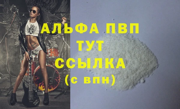 ECSTASY Коряжма